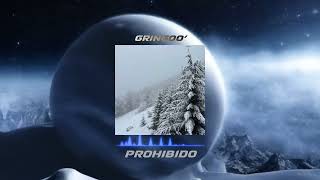 GRING00´  PROHIBIDO Audio Oficial [upl. by Dominic]