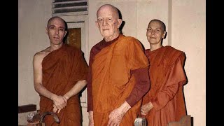 Life of Bhikkhu Bodhi  Part II [upl. by Henson]