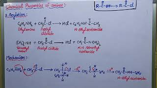 Cemical properties of amines Acylation reaction with mechanism [upl. by Neva]