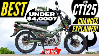 NEW Honda Trail 125 Review  CT125  Better than Grom Monkey amp Super Cub Motorcycles [upl. by Eiramana]