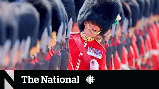 From cruelty to cost King’s Guard urged to abandon famous bearskin caps [upl. by Cyn518]