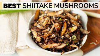 SHIITAKE MUSHROOMS RECIPE  how to cook shiitake mushrooms [upl. by Oiril]