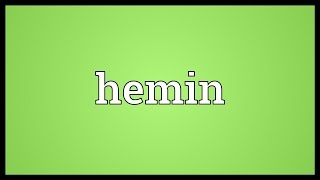 Hemin Meaning [upl. by Nylekoorb]