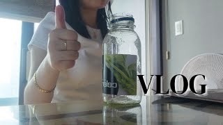 일상vlog 샐러리주스 매일 마셔보기✨️ [upl. by Itsyrc]