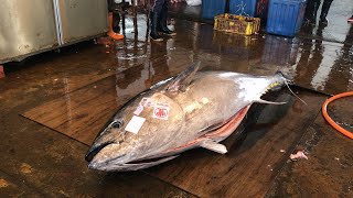 cut the Head for over 535kg Bluefin Tuna in 5minute bluefintuna tuna cutfish seafood [upl. by Tizes]