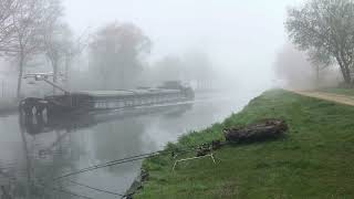 Carpfishing an early morning on the “Kempisch Kanaal” [upl. by Zippora]