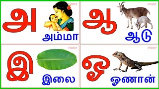 Uyir Ezhuthukal  Learn Tamil Alphabets உயிர் எழுத்துக்கள்prinit [upl. by Ajak49]