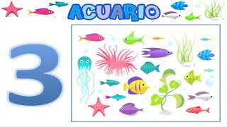 ACUARIO Alicia Rodelgo [upl. by Hanser]