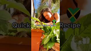 Quick Callaloo recipe 🇯🇲 jamaicanfood foodrecipe jamaican cookingvideo cookingshorts [upl. by Oretna952]