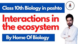 Interactions in the ecosystem  Class 10th biology in pashto  Home of biology [upl. by Nahama]