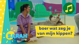 boer wat zeg je van mijn kippen  Sarah zingt  Ketnet Junior [upl. by Pirbhai]