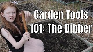 How To Use A Dibber Garden Tool [upl. by Thibaud]