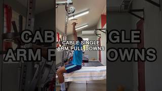 Cable Single Arm Pull Downs latpulldowns [upl. by Aidin]