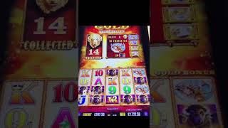 Incredible Buffalo Bonus Win slot massivewin buffalo slots [upl. by Pablo]