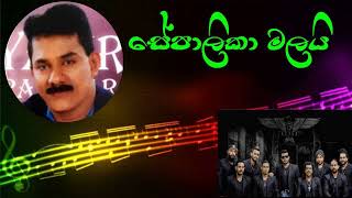 SEPALIKA MALAI LIVE WITH FLASHBACK  සේපාලිකා මලයි  legendlivehits [upl. by Yrakcaz]