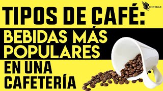 Tipos de Café Bebidas Más Populares En Una Cafetería [upl. by Acinat]