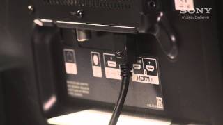 How to set up your BRAVIA with an active display stand [upl. by Cleary968]