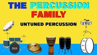 CLASSIFICATION OF MUSICAL INSTRUMENTS  The Percussion Familymusic lessons theory [upl. by Hashum186]