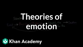 Theories of Emotion  Processing the Environment  MCAT  Khan Academy [upl. by Ruella]