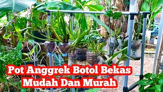 Cara membuat Pot anggrek dari botol bekas anggrekmurah berkebundirumah anggrek anggrekhutan [upl. by Ploss]