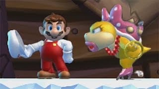 New Super Mario Bros U 100 Walkthrough Part 4  Frosted Glacier All Star Coins amp Secret Exits [upl. by Cosetta]