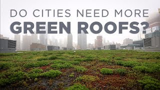 How Green Roofs Can Help Cities  NPR [upl. by Anaiq]