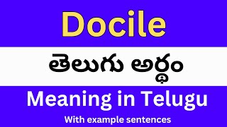 Docile meaning in telugu with examples  Docile తెలుగు లో అర్థం Meaning in Telugu [upl. by Yttocs579]