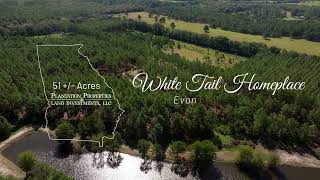 White Tail Homeplace  51± Acres amp Home in Evans County GA [upl. by Atikihc979]