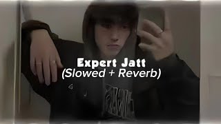 Expert Jatt Remix Slowed  Reverb  Attitude Anthem [upl. by Riccio]