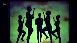 Attraction  Shadow Theatre Group  1st Audition Britains Got Talent [upl. by Asiulairam877]