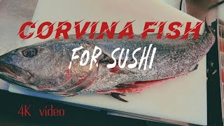 How to cut corvina fish [upl. by Idnew829]