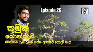 කුඹුක් බොන්සායි ගසක් සාදා ගන්නේ කෙසේද how to make a kumbuk bonsai tree EPISODE 26 [upl. by Cleary902]