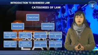 INTRODUCTION TO BUSINESS LAW [upl. by Braun]