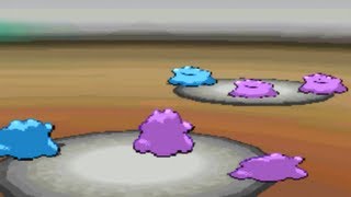 ★DITTO VS DITTO★ [upl. by Sadler]