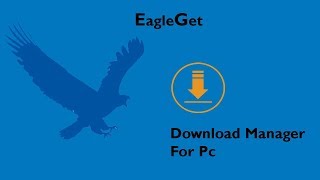 EagleGet Download Manager For Pc  2018 [upl. by Ardell]