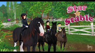 🌟 Código de Star Rider Para Novos Jogadores  Star Stable [upl. by Noitsirhc]