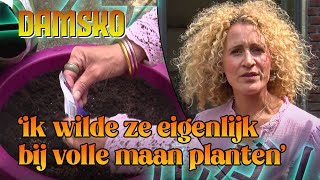 Willeke plant tomaten en ‘ideeën’  KLEIN ONDERHOUD [upl. by Spalding566]