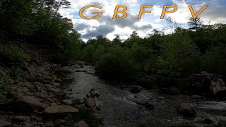 GBFPV HD1 Pine forest on the Beaverkill 5 27 24 [upl. by Seuguh]