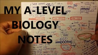 My Biology Notes  A Level  GCSE [upl. by Cerellia]