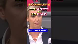 💥EKLAT💥 BÜRGERGELD komplett ZERLEGT 🔥 afd ampel aliceweidel politik bundestag spd scholz bsw [upl. by Colligan98]