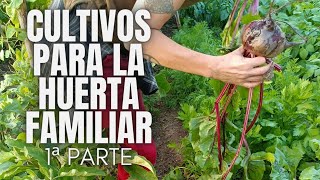 Cultivos para la huerta familiar primera parte [upl. by Pfeifer]