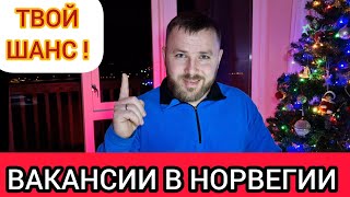 ✅️ Работа в Норвегии  Это Ваш Шанс [upl. by Ianteen]