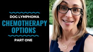 Dog Lymphoma Chemotherapy Options Part One Vlog 87 [upl. by Kariotta955]