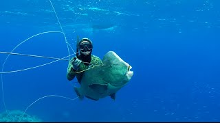 Spearfishing  Naaoutea Waters [upl. by Harlow]