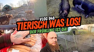 FarmVLOG948  Es geht raus der Frühling kommt [upl. by Timmie787]