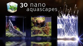 Thirty Of the Best Nano Aquascapes In America — Aquatic Experience 2017 [upl. by Kesley]