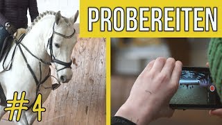 Das Probereiten  Verdener Auktion  TEIL 4  BinieBo  Reportage [upl. by Eerahs]