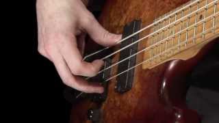 Learn Bass  How to Pluck the Strings [upl. by Erroll]