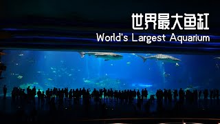 Worlds Largest Aquarium in Zhuhai Chimelong Ocean Kingdom  世界最大鱼缸，珠海长隆海洋王国 [upl. by Novahc]