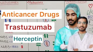 Trastuzumab Herceptin  Anticancer Drugs [upl. by Eanat]